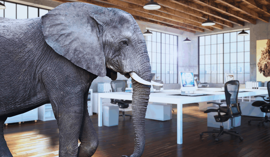 Getting the Elephant Off the Table and Out the Door