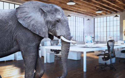 Getting the Elephant Off the Table and Out the Door