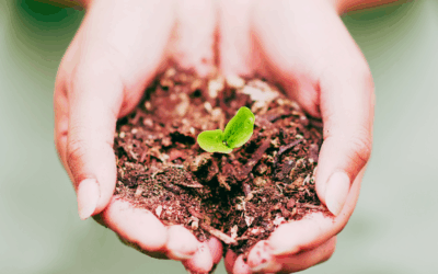Embracing Transformation—The Journey of Growth in Leadership