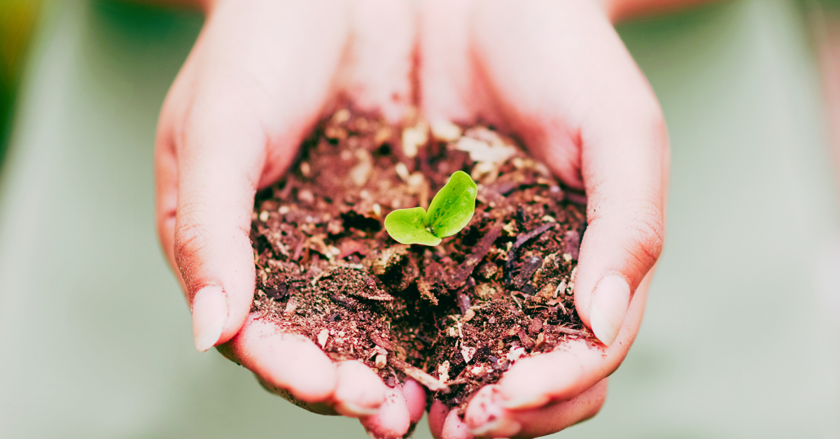 FOR CCMAG POSTS (1200 × 628 px)-26